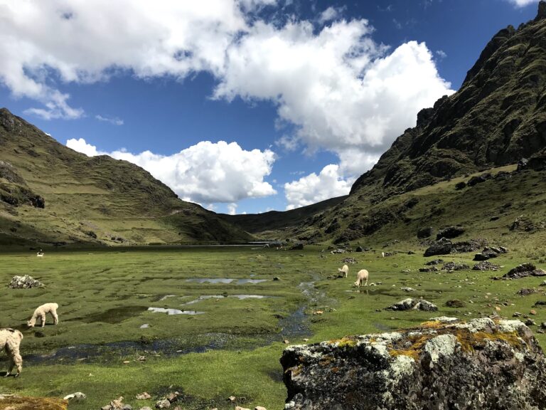 Ceremony 7 – San Pedro Retreat – 11th May 14