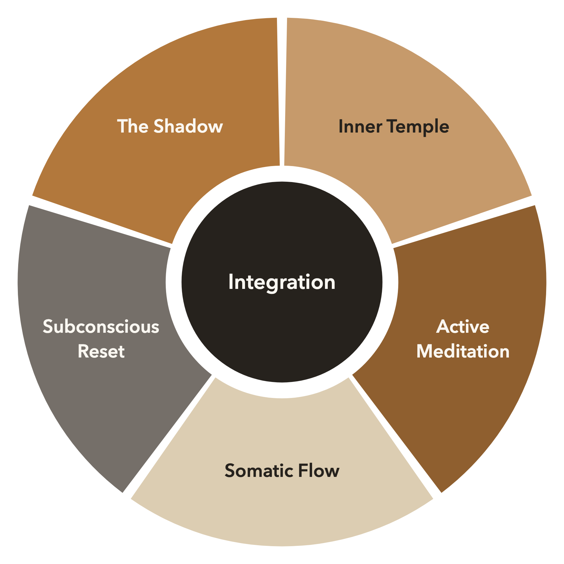 The Integration Process wheel — six practices around one circle: Inner Temple, Active Meditation, Somatic Flow, Subconscious Reset, and The Shadow, with Integration at the centre.